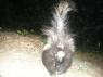 Look out!!! PICT9473.JPG